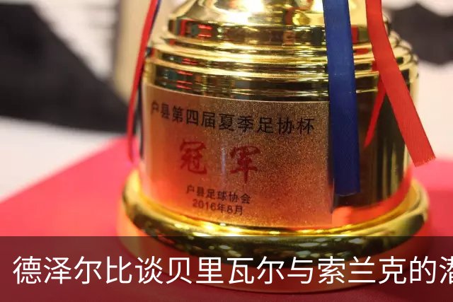 德泽尔比谈贝里瓦尔与索兰克的潜力与成长
